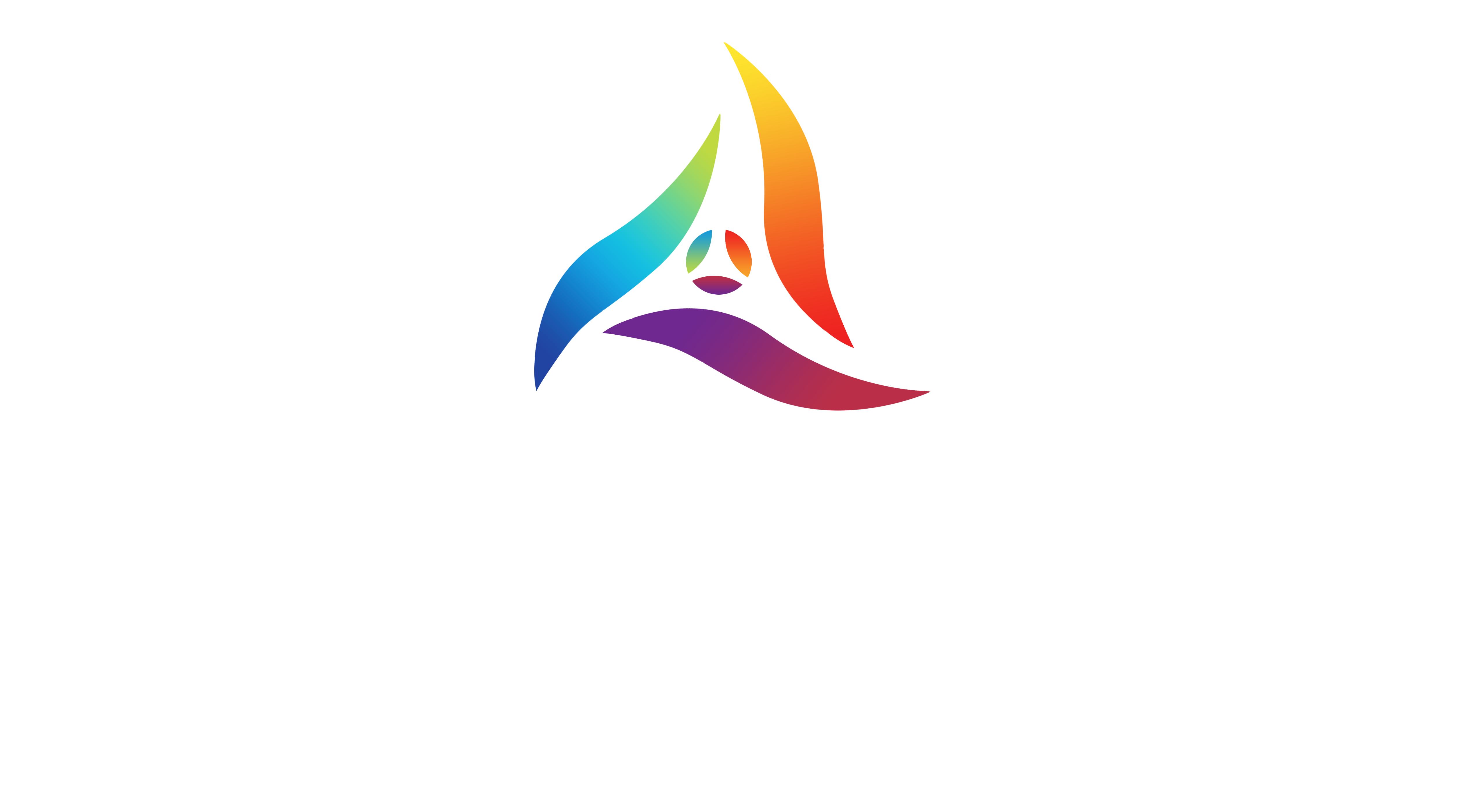 STS Digital Solutions